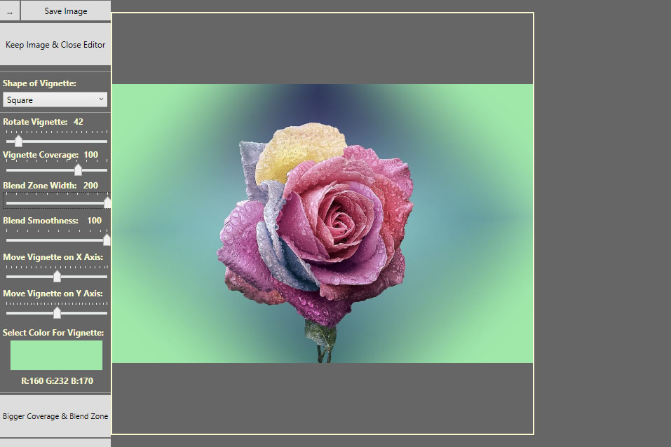 Picture of a rose