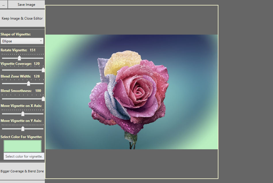 Picture of a rose