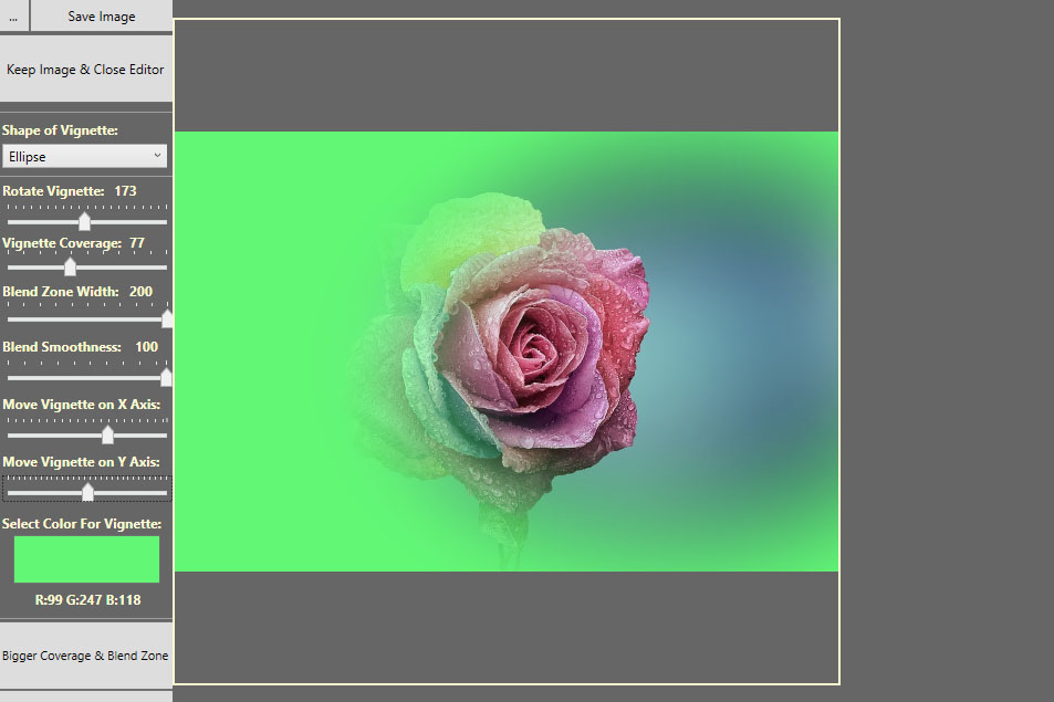 Picture of a rose