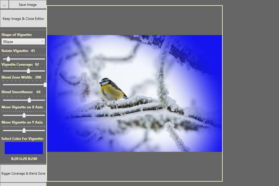Picture of a bird