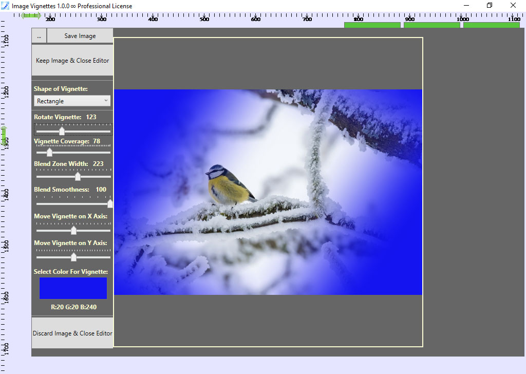 Picture of a bird