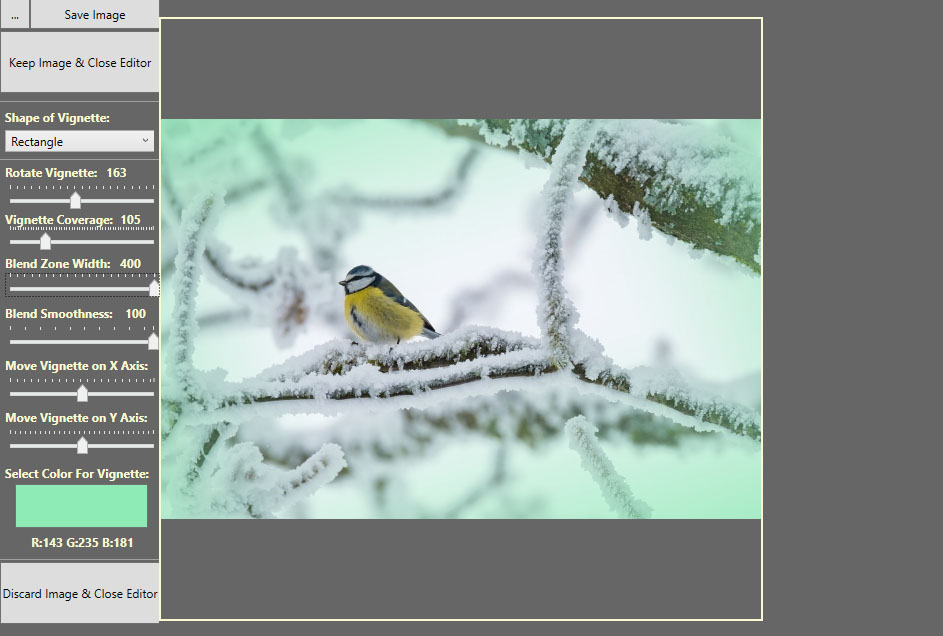 Picture of a bird