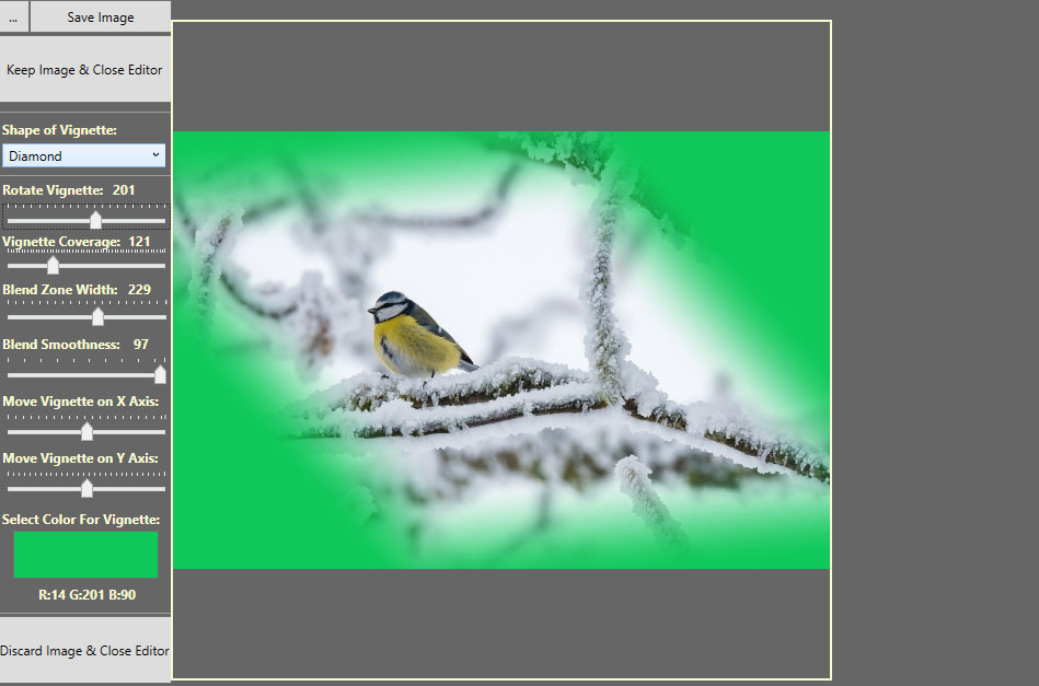 Picture of a bird