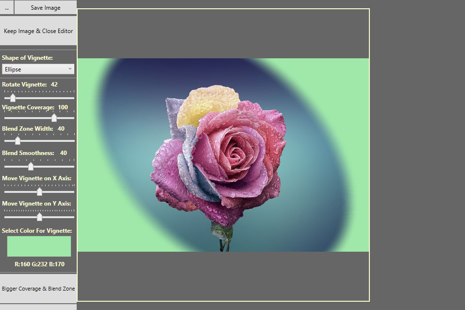 Picture of a rose