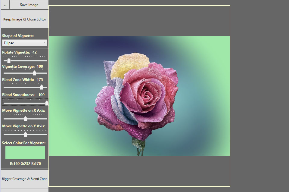 Picture of a rose