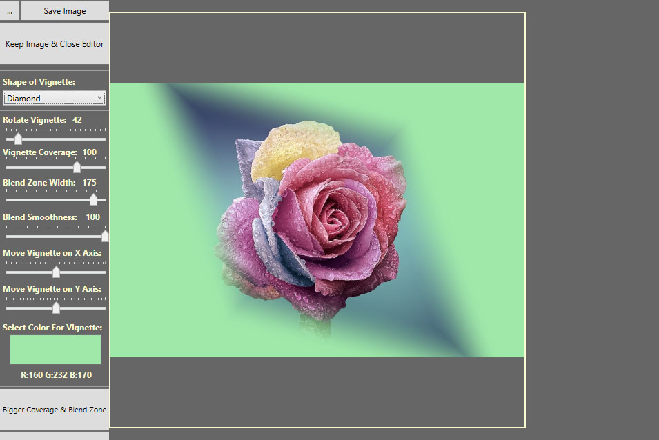 Picture of a rose